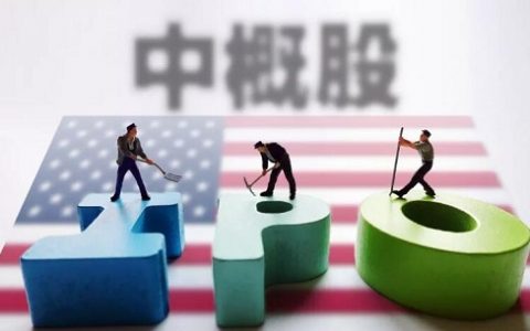 生猪期货价格新浪网直播